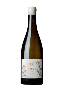Clos Capitoro