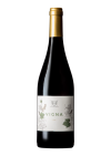 Vigna Clos Capitoro Clos