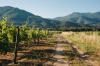 Domaine Clos Capitoro Clos