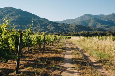 Clos Capitoro