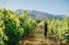 Domaine Clos Capitoro Clos