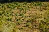 Contact Clos Capitoro Clos